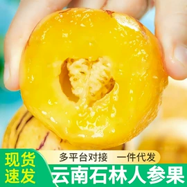 块茎类;其他水果;苹果