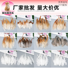 ��������F؛���l؈�����ë�uë��؈�������Ʒ�b����