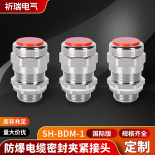 ��|���^SH-BDM-1���I�������m�^��|�ܷ���^��ˮ�̶����m�^