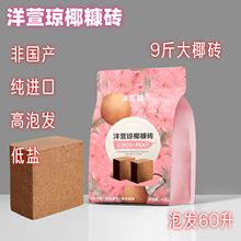 Ҭ�u�I�B���N��ͨ����Ó�}Ҭ����KҮ�u�����������B�������Nֲ