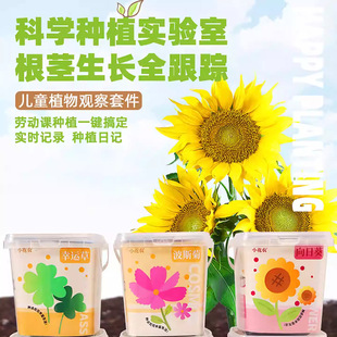 С���r��ͯ����Nֲ����С�W���ƌW���I�׃��@ֲ�����L�^�������