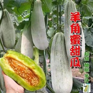 �������ϷN���������ϷN���������ϷN�ӱ�Ƥ�ļ��Ϲ��N��