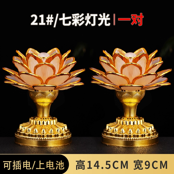 New Lotus Golden Lantern 21/One pair