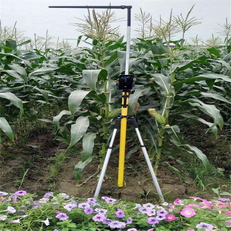 (（价可议）植物度测量仪  型号:M342380  库号：M342380