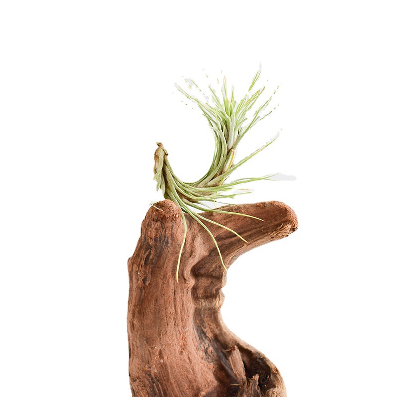 carousel-thumb-4