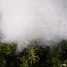 �S�ҹ������������S�ſ׻��w��PP��ë�q�����������^���z�����