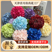 �羳���潑�򻨆�֧�����ǽ����ɫ��Y�þƵ깰�T�b�c�ٻ�