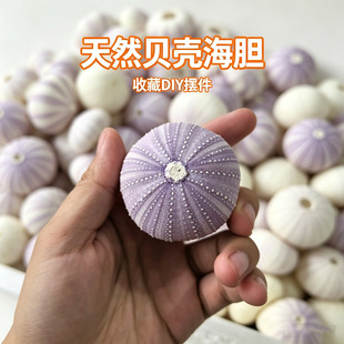 �Ϻ�đ��đ����ɰ�����Ȼؐ����Ȼ�˱���ɫ����đ��Сҹ��DIY