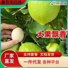 һ�����l��ˮ���ʘ�������ˮ��������ϱ����҃�ͥԺ���F�ļ��Nֲ