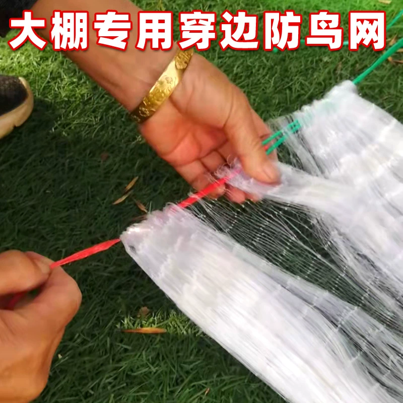 Wuwang сетка анти-птицы анти-птицы крышка сада защитная сеть нейлоновая сеть фруктовое дерево клубника анти-птицы сетка небесная сеть теплица пряжа