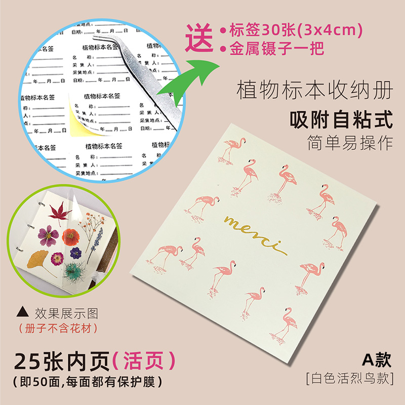 흰색 플라밍고(A형) 표본 없음