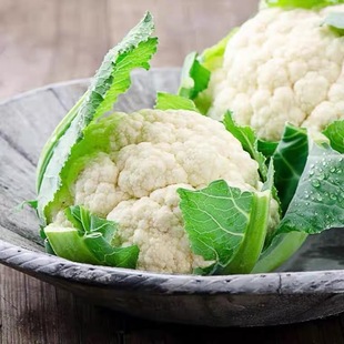 ����ɫ���˷N�ӡ����ۻ�Ҭ���ﶬ���N�����ļ��r���߲˷N�ݺ���