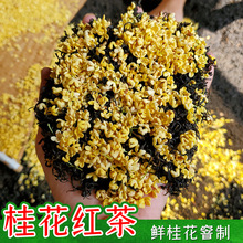 桂花红茶叶2023新茶窨制桂花九曲红梅金骏眉丹桂小种红茶散装批发