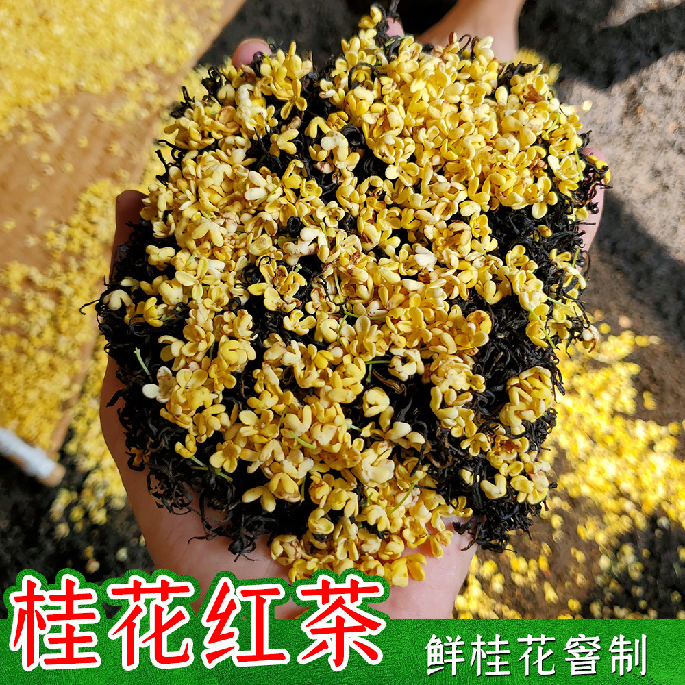 桂花红茶叶2025新茶窨制桂花九曲红梅金骏眉丹桂小种红茶散装批发