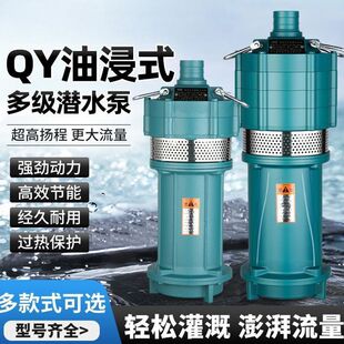 ��ü���220v�ߓP���ͽ�ʽ���˹��ˮ��380vQD�༉��ˮ��