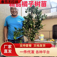 һ�����l�����l؛�����Ә���ɰ�������Ե����ϱ����Nֲ�o��ɳ�ǽ�