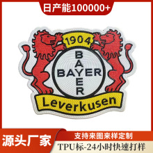 TPU转烫标压花压烫标服装超纤加厚辅料皮标牌电压商标高周波