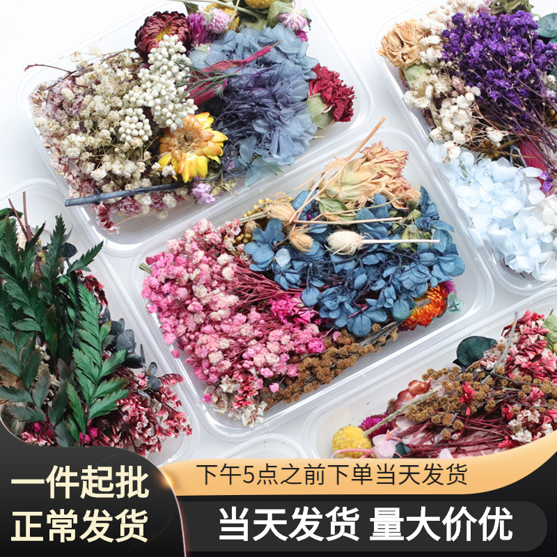 Mix and Match DIY Dry Flower Frame with Meimu'er, Fan Decoration Natural Materials DIY Aromatherapy Candle Dry Flower Materials