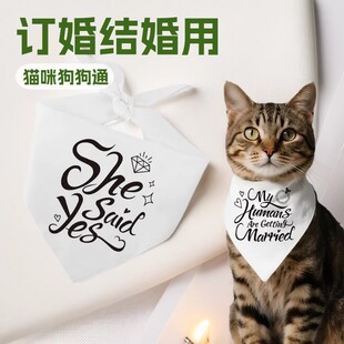 �������ǽ� ؈�乷��ӆ��Y���ˮ�� She Said Yes�Y�鼾�������