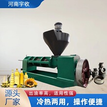 168型 商用大型全自动榨油机 花生菜籽油亚麻芝麻压榨油