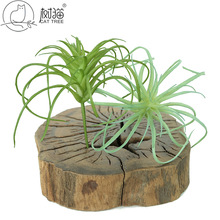 �������ֲ�� ����՚�ݷ��滨diyС�����辰ֲ��廨�������