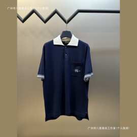 正确版本现货高品D家新款刺绣毛织POLO衫短袖T恤时尚百搭男女同款