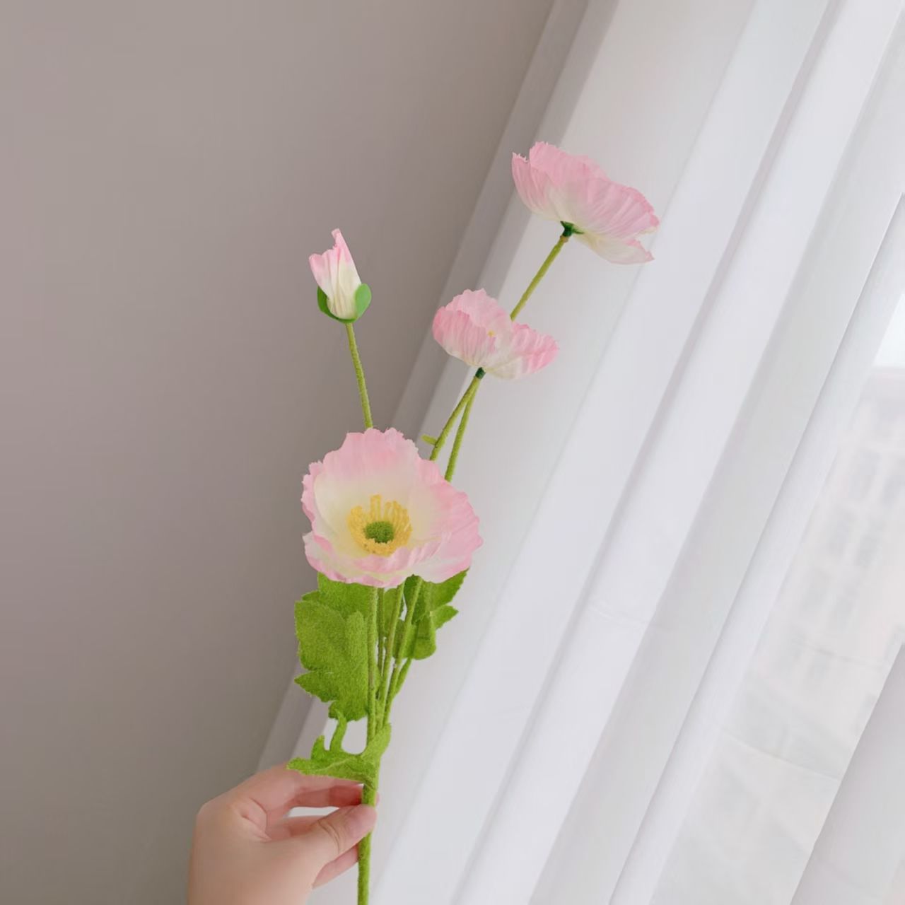 라이트 핑크