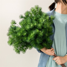 ������֦����_�h�ɼ�ӭ�������~�~�������ɘ������ɺ����쾰���~