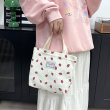 新款甜美简约大容量手提包青春时尚托特包女跨境手提腋下包小布包