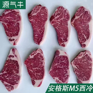 ����ԭ�а���˹M5����ţ��154/558�S���300��M3ɳ��ţ�����l���l