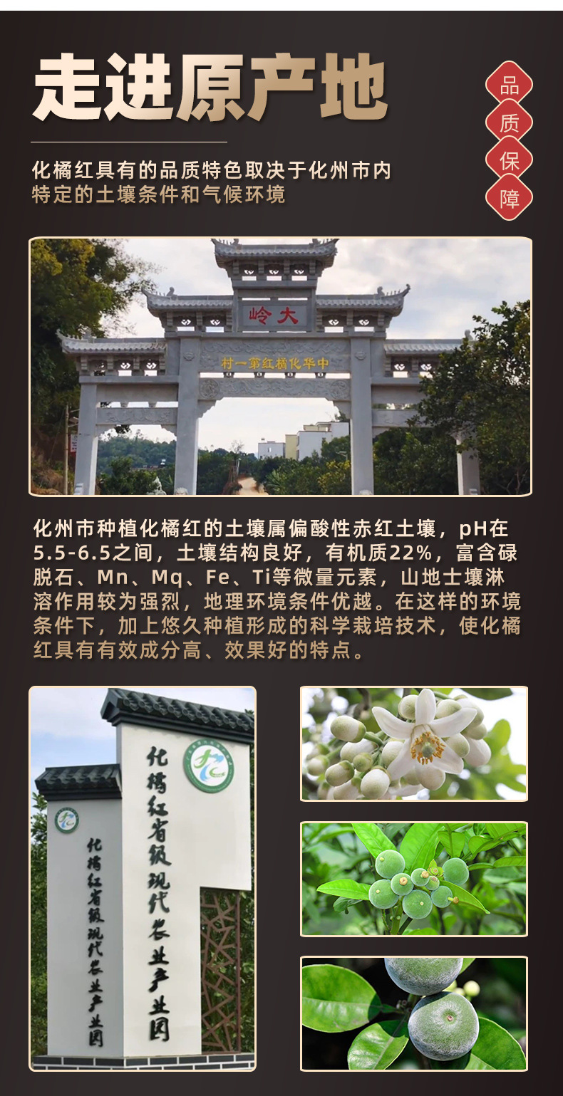 Huazhou Tangerine Peel Slices Hua Ju Hong Citrus Grandis Exocarp 500g Premium Dried Herbal Tea Slices preparation