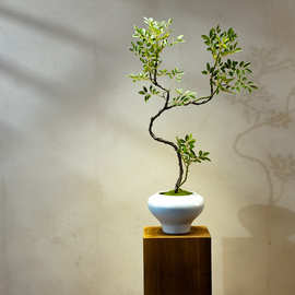 九九里香里香仿真绿植桌面植物高端轻奢玄关小型盆栽摆件仿真花