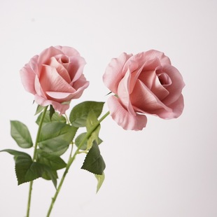 ��Ʒ�|���滨�ָб����֧�¹�ʯõ��õ��ҾӲ廨��[�����l