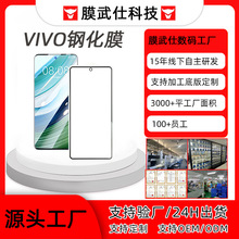 适用vivoY300 Y200i Y35 Y74 Y85高铝丝印二强钢化膜s9手机膜批发