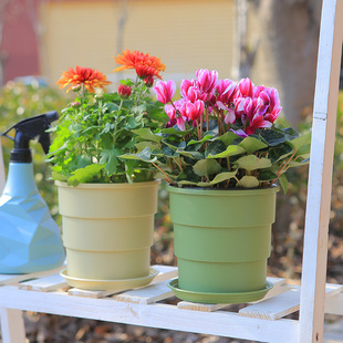 Gardening New Thickened Flower Pot PP Resin Thickened Multi-color Flower Pot Dry-wet Cycle Root-controlled Breathable Flower Pot