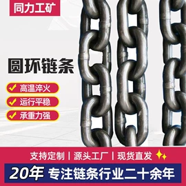 传动链;链轮;起重链条