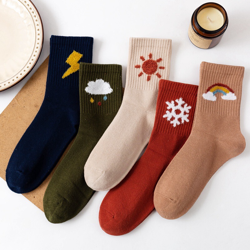 Korean Autumn and Winter Thickeneded Socks for Women, Flocked Weather Elements, Mid-Calf Women's Socks, Ins Trend Socks