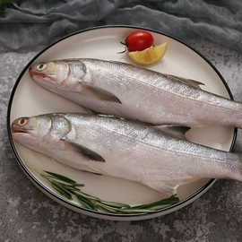 水产干货类;鱼类;鲜活水产