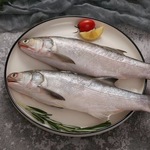 福建东山岛本港午鱼马友鱼【爱心鱼满舱一件代发直播】