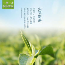 漢中仙毫 2022新茶明前一級陝西漢中西鄉特產午子綠茶仙毫