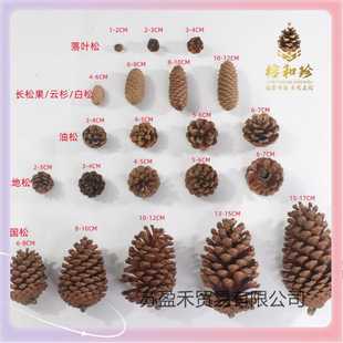 ?�ɹ� ��Ȼ�ɹ� ������ ������ ���ɹ� �����^ �ɻ� �ɹ���ˇƷ