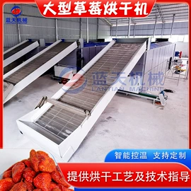 箱式干燥设备;带式干燥设备;筛选设备