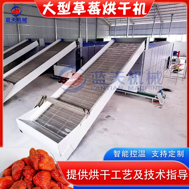 大型草莓烘干机 全自动凤梨草莓洋莓水果干燥机 草莓干烘干设备
