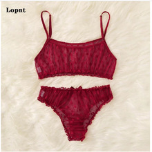 2024�¿�W���ԸЃ��¾W�����~߅͸���A�c¶����Ȥ���·��w�ɼ���