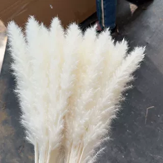 小芦苇干花花束永生花拍摄道具亚马逊热销家居装饰云南厂家批发