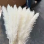 云南家居拍摄热销花束