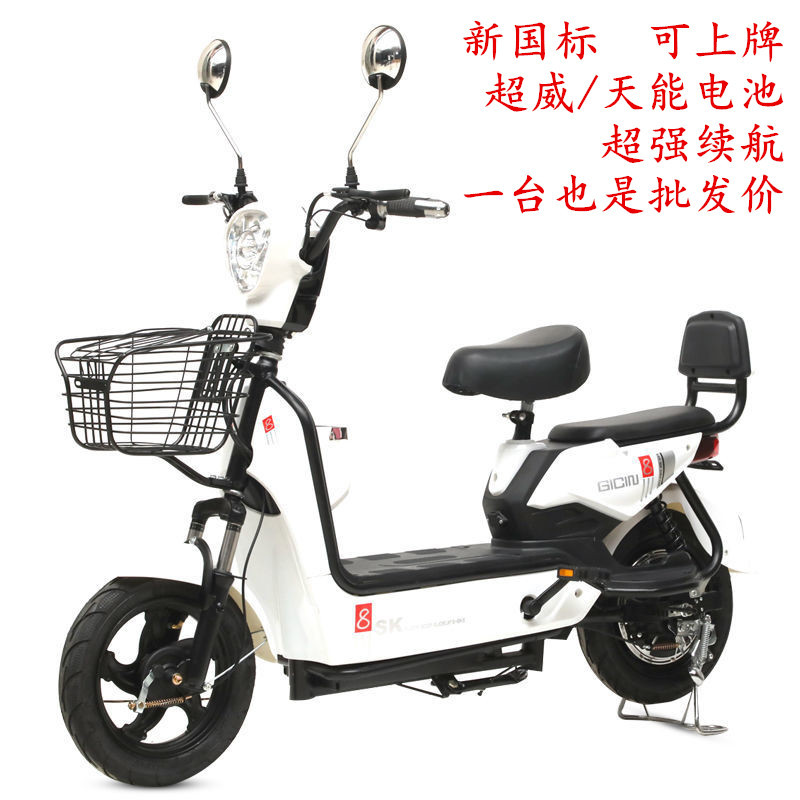 新款48v雙人電動車成人兩輪腳踏電瓶車電動自行車代步車批發出口