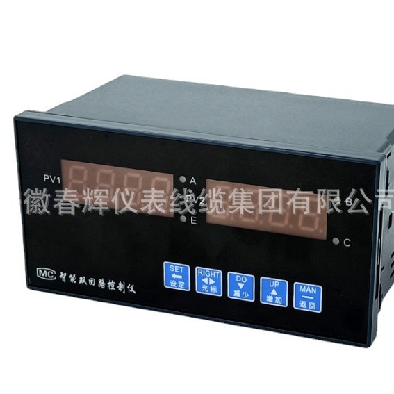 压力双回路显示仪HZRB221717102PAH