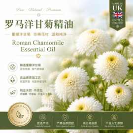 罗马洋甘菊精油英国产区精油按摩精油芳疗单方精油工业取样使用