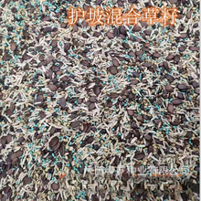 ���l�o�� �ӵ� �첥�Y������  ����ľ���ݷN�� ���뻱  �ϻ���ޣ